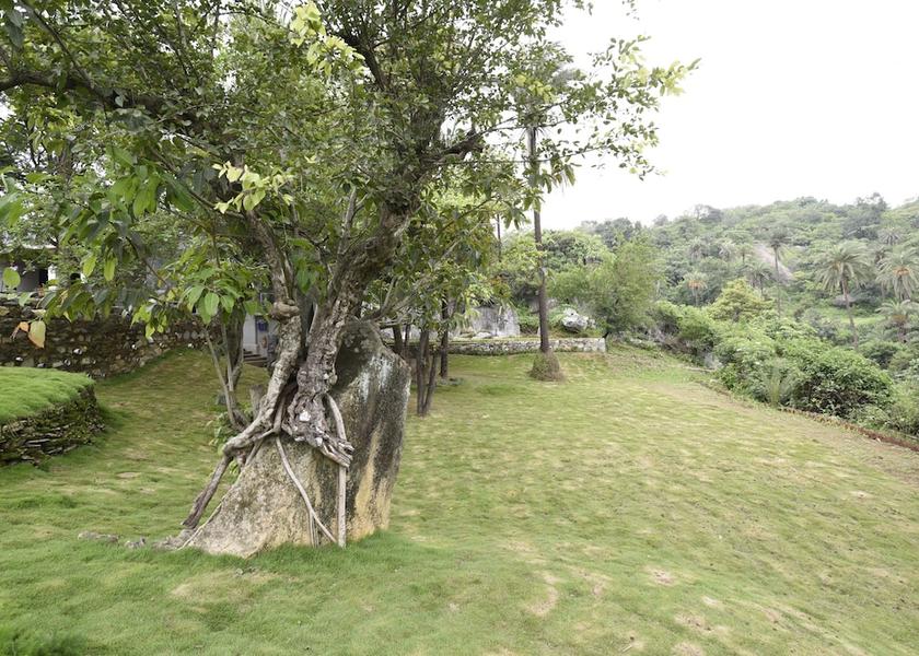 Rajasthan Mount Abu Garden