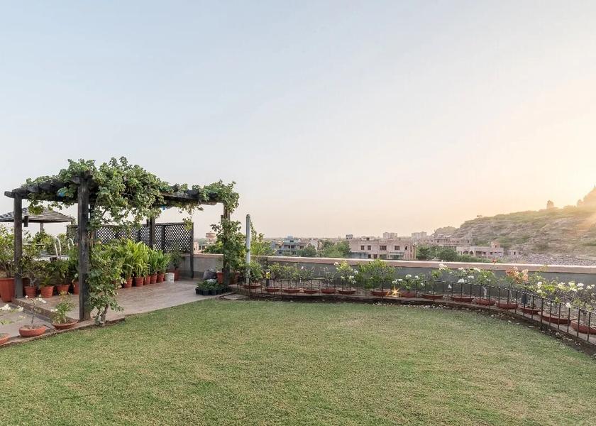 Rajasthan Jodhpur Outdoors