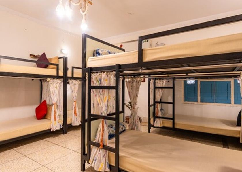 Rajasthan Jodhpur 10 Bed Mixed AC Dorm