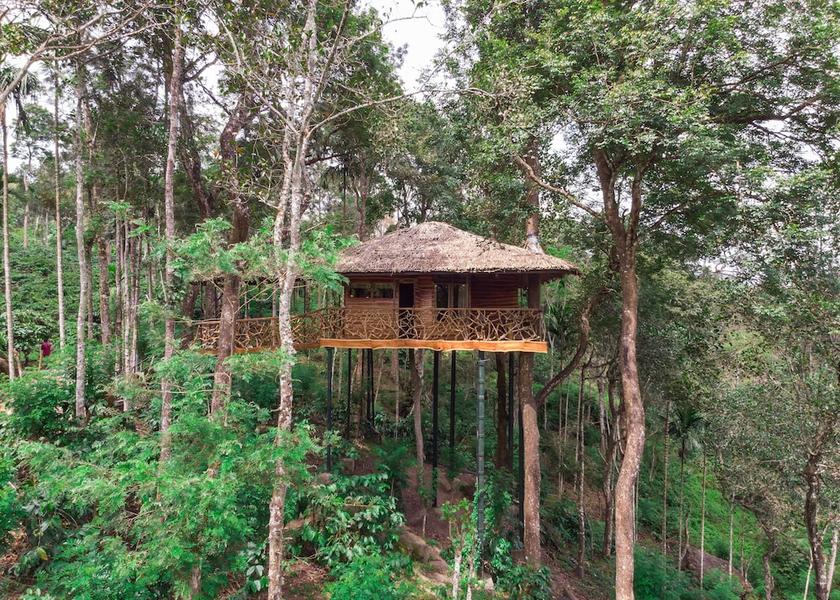 Kerala Wayanad Valley view