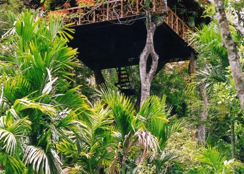 Kerala Wayanad Public Areas