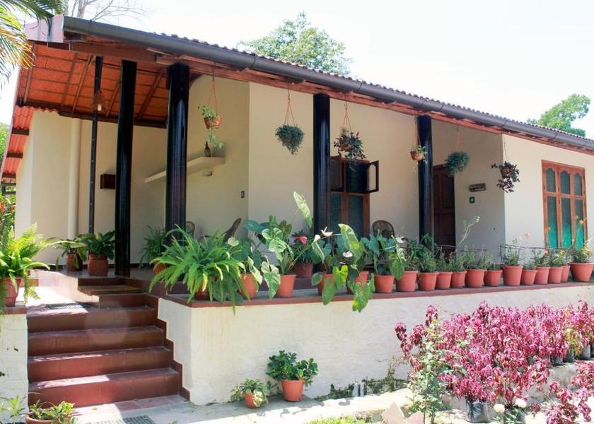 Kerala Wayanad Hotel Exterior