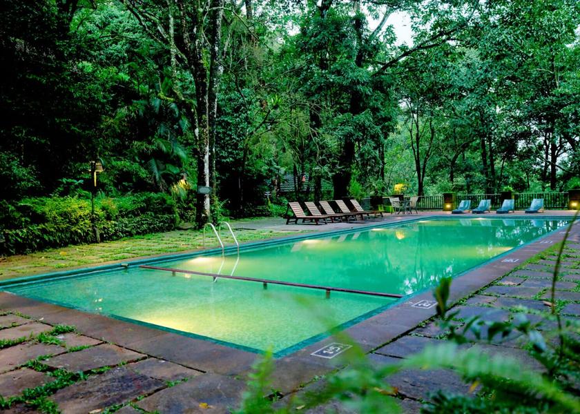 Kerala Wayanad Neighbourhood
