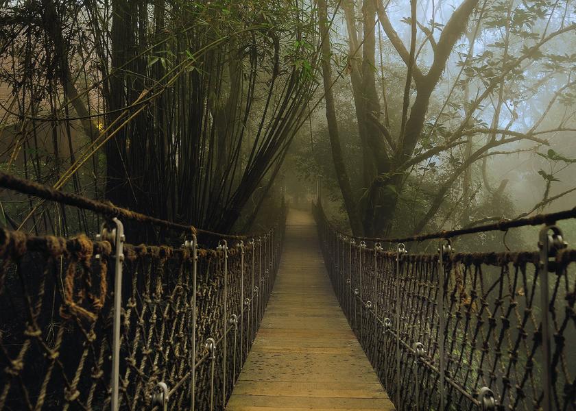 Kerala Wayanad Outdoors