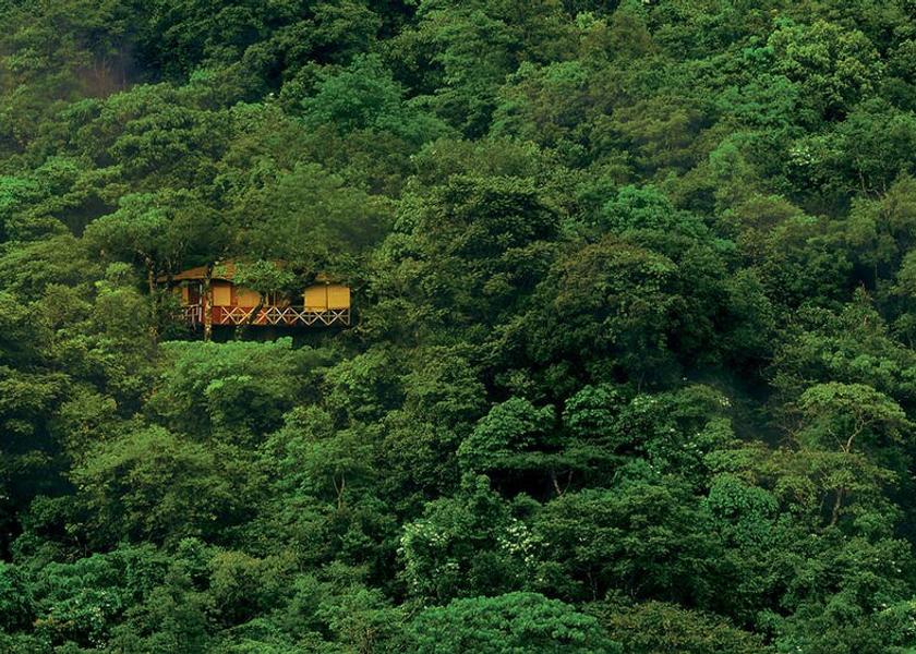 Kerala Wayanad View from Property