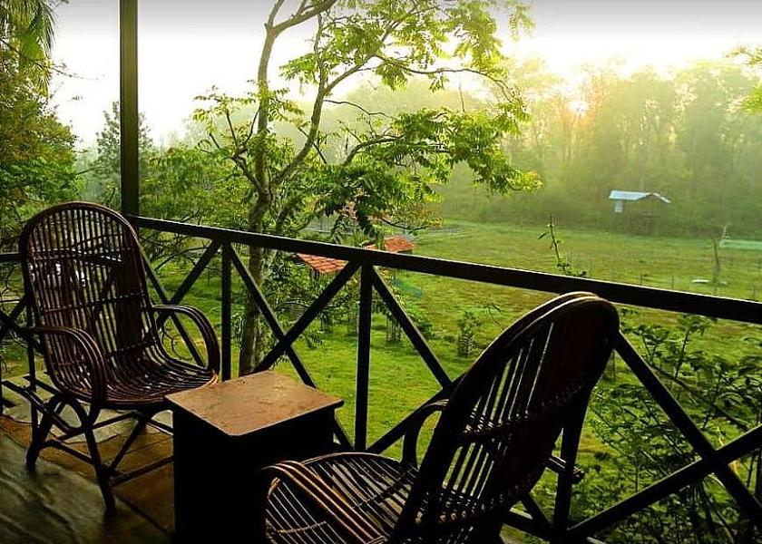 Kerala Wayanad 