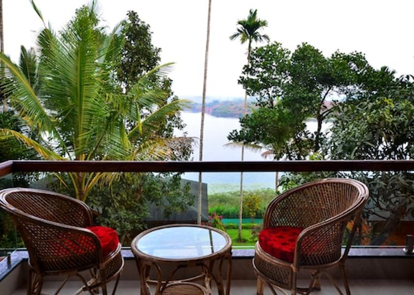 Kerala Wayanad 1025