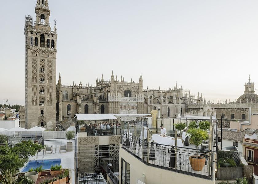 Andalucia Seville Land View from Property