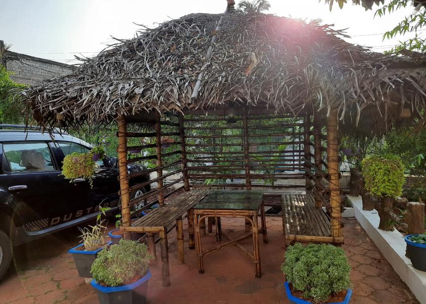 Kerala Thrissur Outdoors