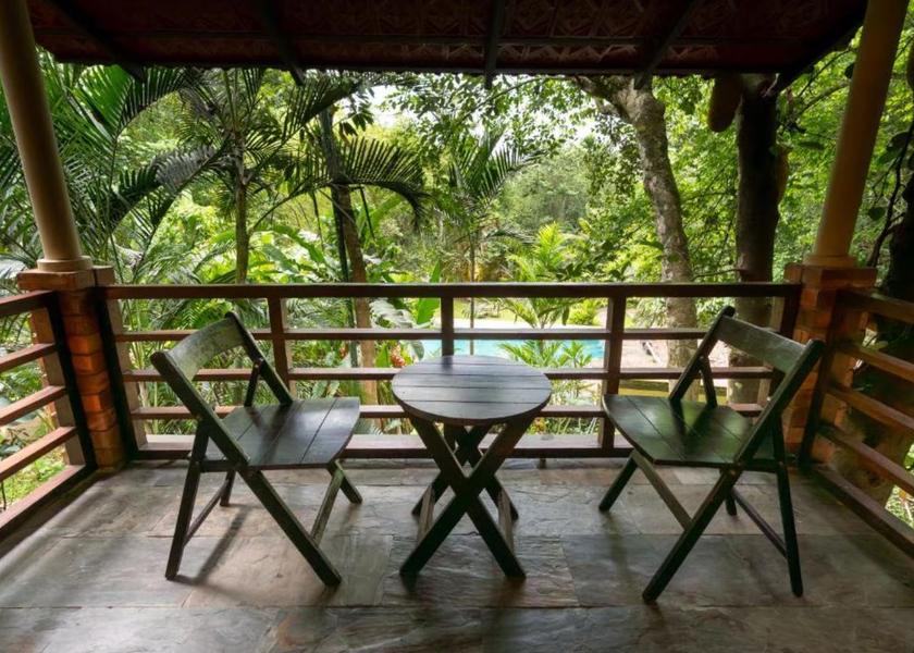 Kerala Wayanad 1025
