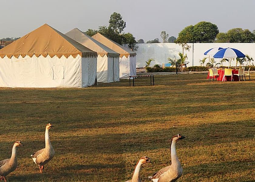 Madhya Pradesh Bhopal Tent View