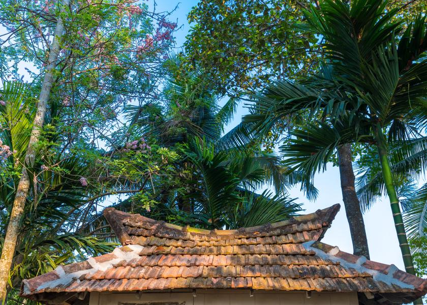 Kerala Alleppey Hotel Exterior
