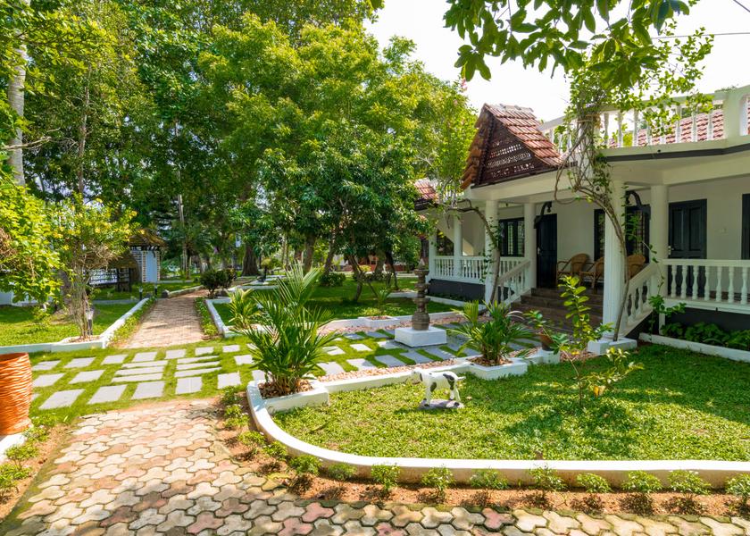 Kerala Alleppey Outdoors