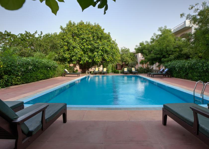Rajasthan Sawai Madhopur Pool