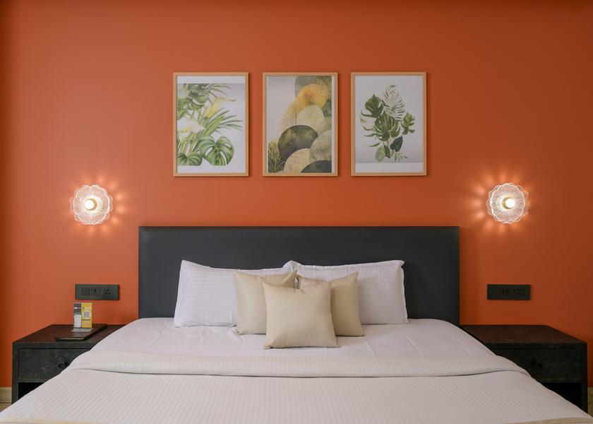 Chhattisgarh Raipur Suite