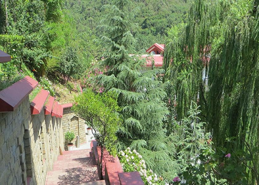 Himachal Pradesh Mandi Hotel View