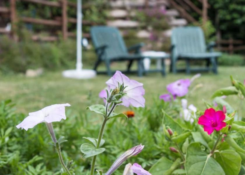 Piedmont Alice Bel Colle Garden