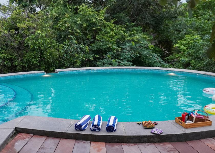 Rajasthan Kumbhalgarh Pool