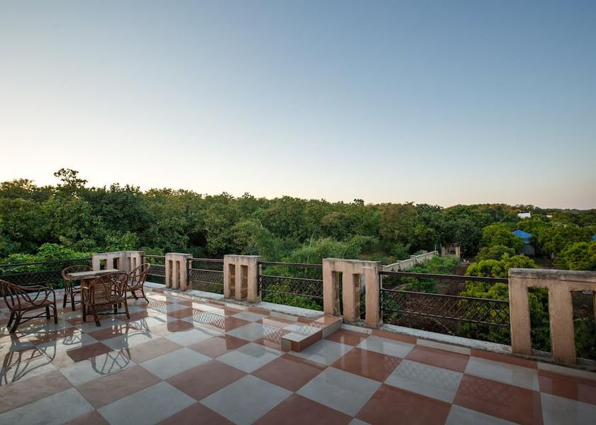 Gujarat Sasan Gir Hotel View