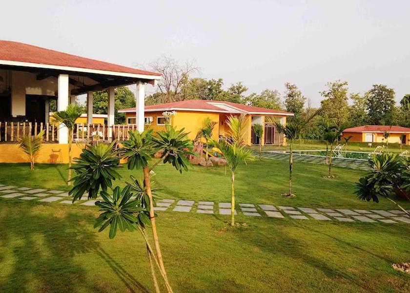 Chhattisgarh Bilaspur Lawn