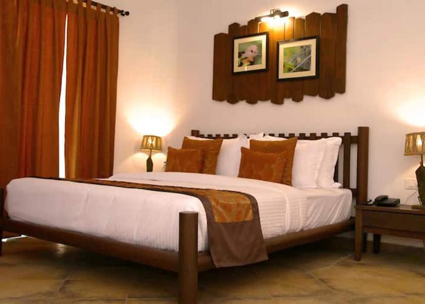 Chhattisgarh Bilaspur Premium Room