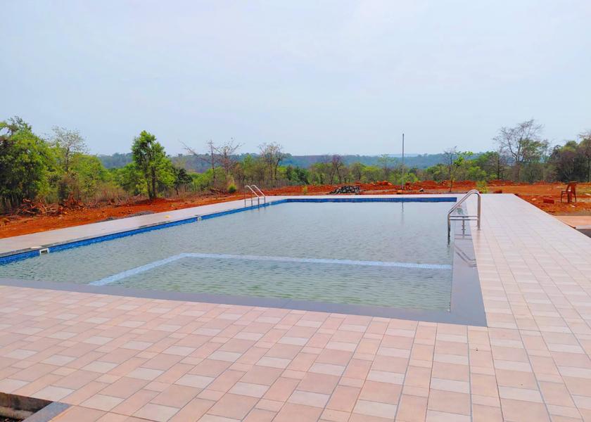 Maharashtra Kolad 