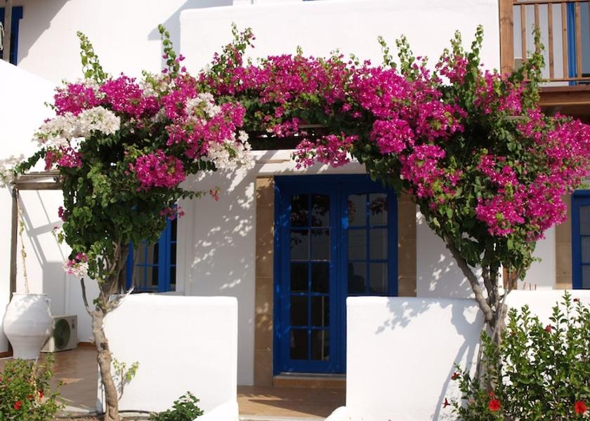 South Aegean Rhodes Property Grounds
