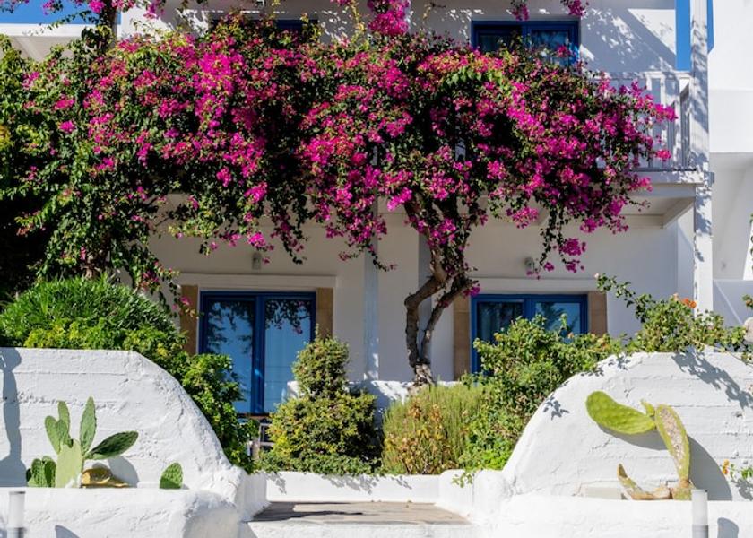 South Aegean Rhodes Facade