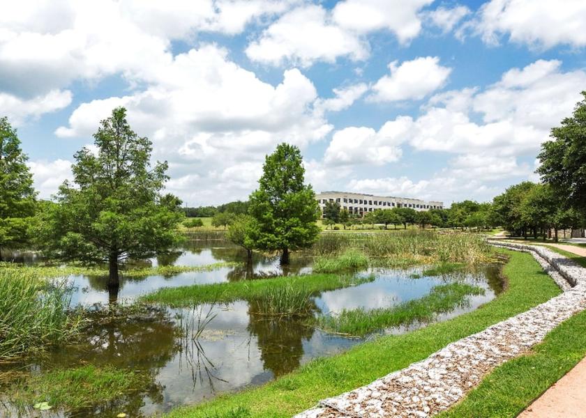 Texas Austin Garden
