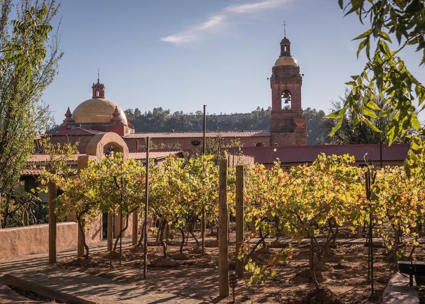 Chihuahua Urique Garden