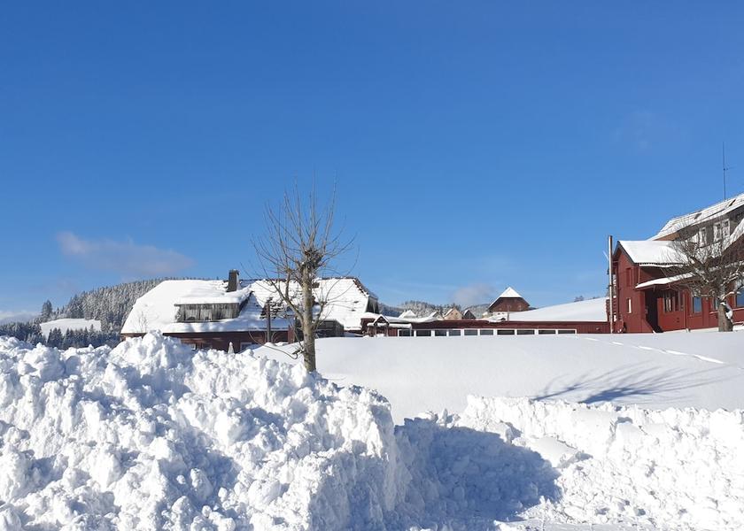 Baden-Wuerttemberg Titisee-Neustadt Snowshoeing