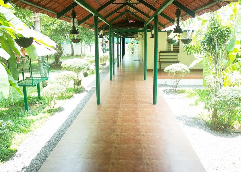 Kerala Kochi Corridor