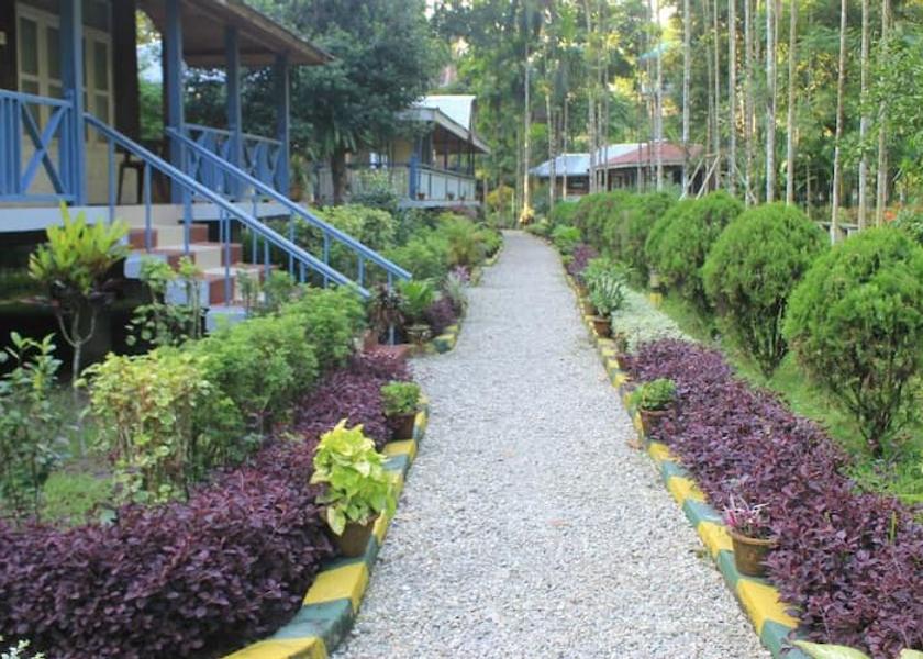 West Bengal Lataguri Garden