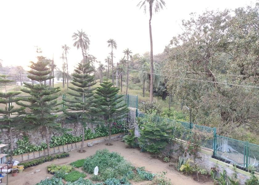 Rajasthan Mount Abu Street view