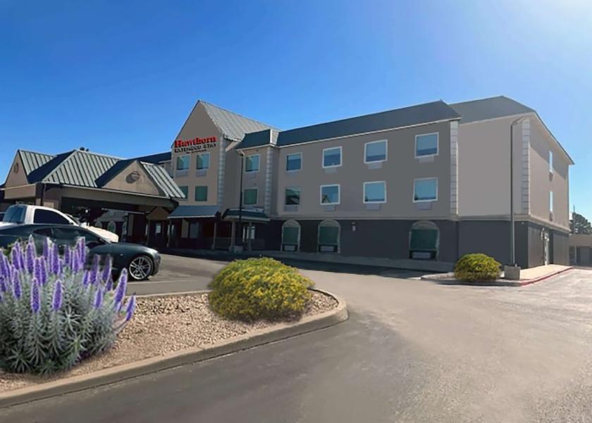 New Mexico Hobbs Primary image