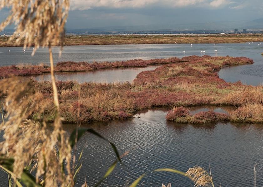 Sardinia Capoterra View from Property