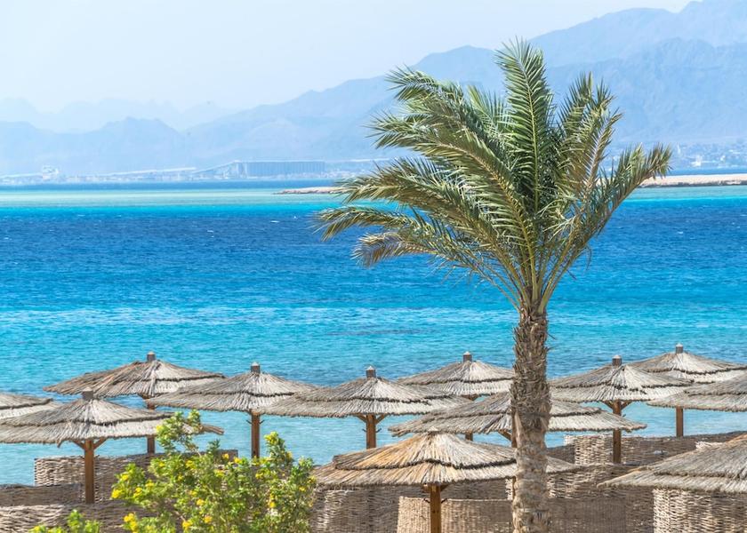 Red Sea Governorate Soma Bay Beach