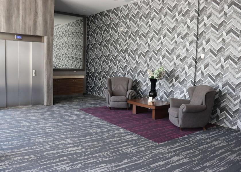 Aguascalientes Aguascalientes Lobby