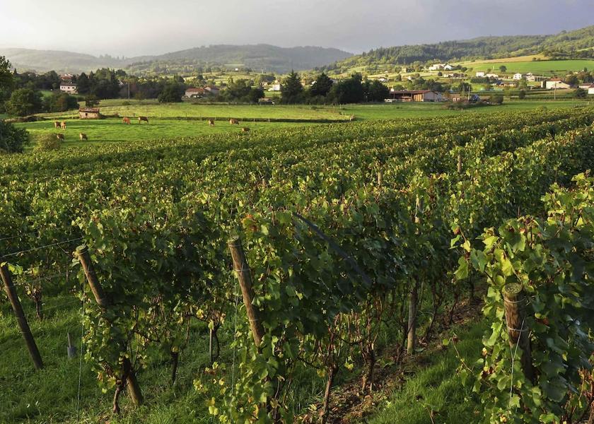 Occitanie Rodez Amenity