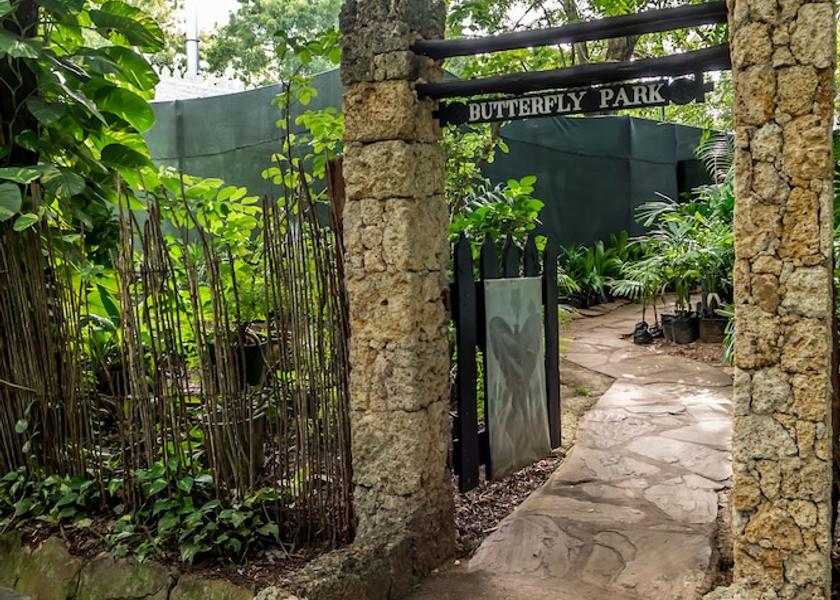  Mombasa Exterior Detail