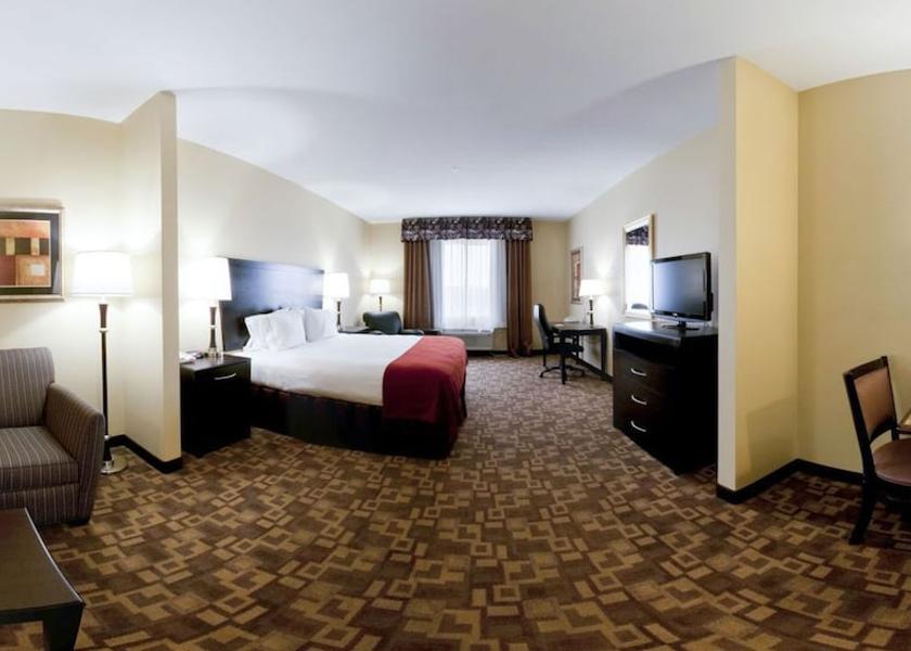 Texas Snyder Room