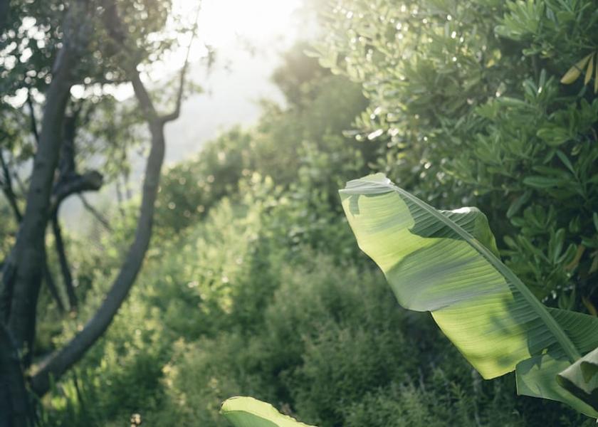 Lombardy Gargnano Exterior Detail