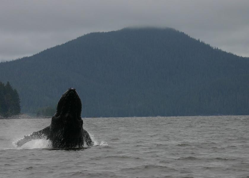 British Columbia Ucluelet View from Property