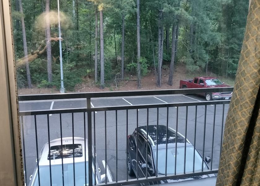 North Carolina Southern Pines View from room