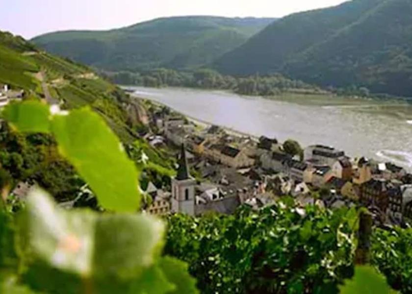 Hessen Ruedesheim am Rhein View from Property