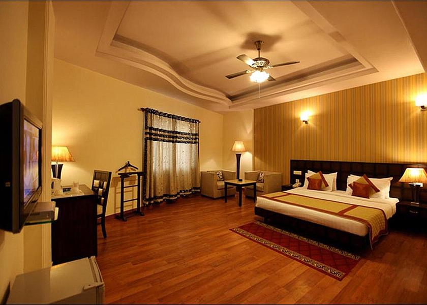 Delhi Delhi 