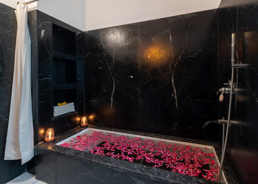 Rajasthan Udaipur Imperial Heritage Room with Bathtub