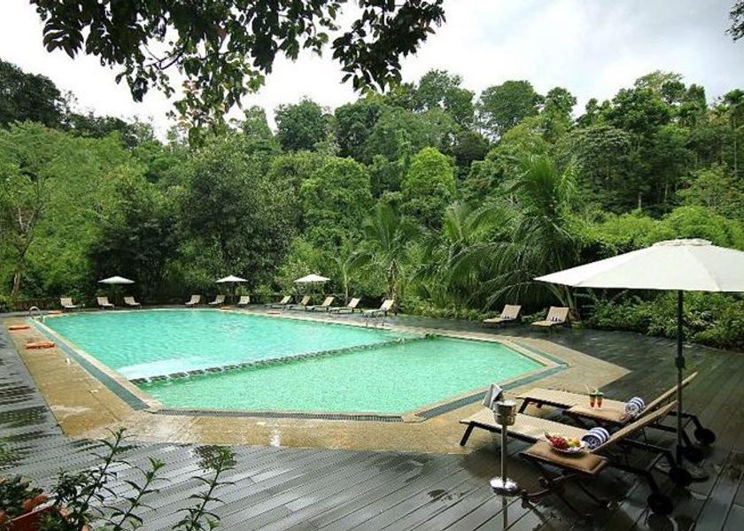 Kerala Wayanad Pool
