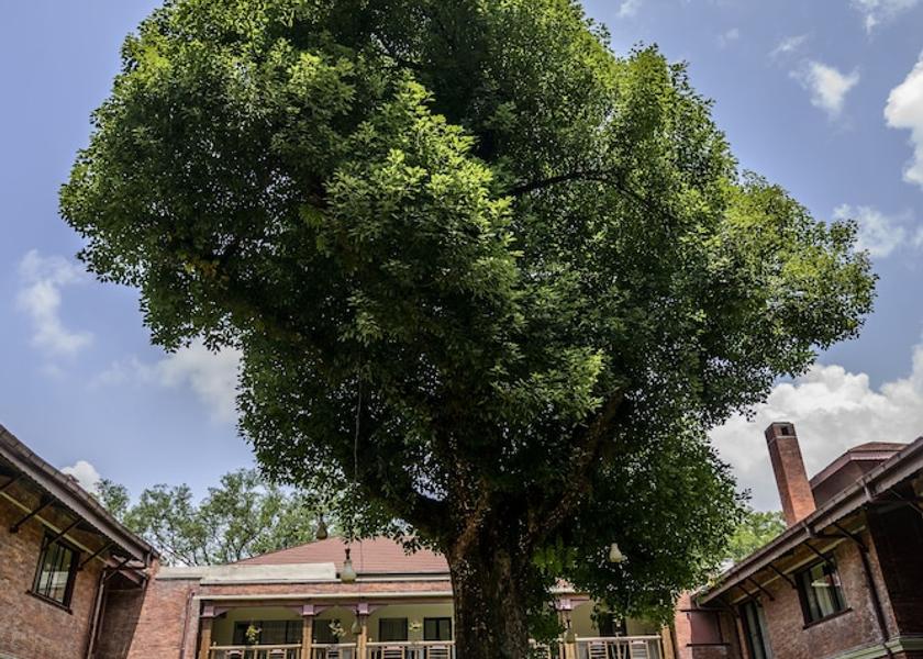  Kathmandu Exterior detail