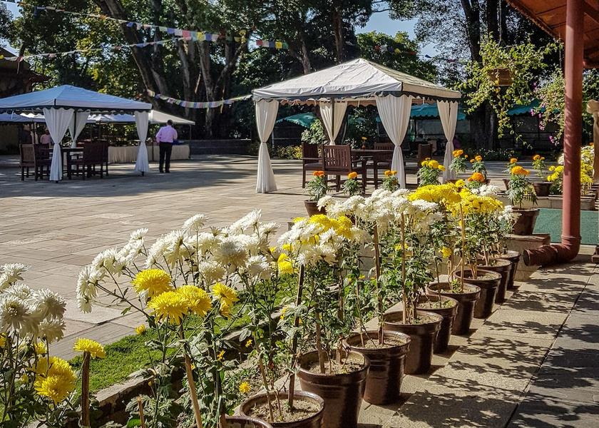  Kathmandu Outdoor dining